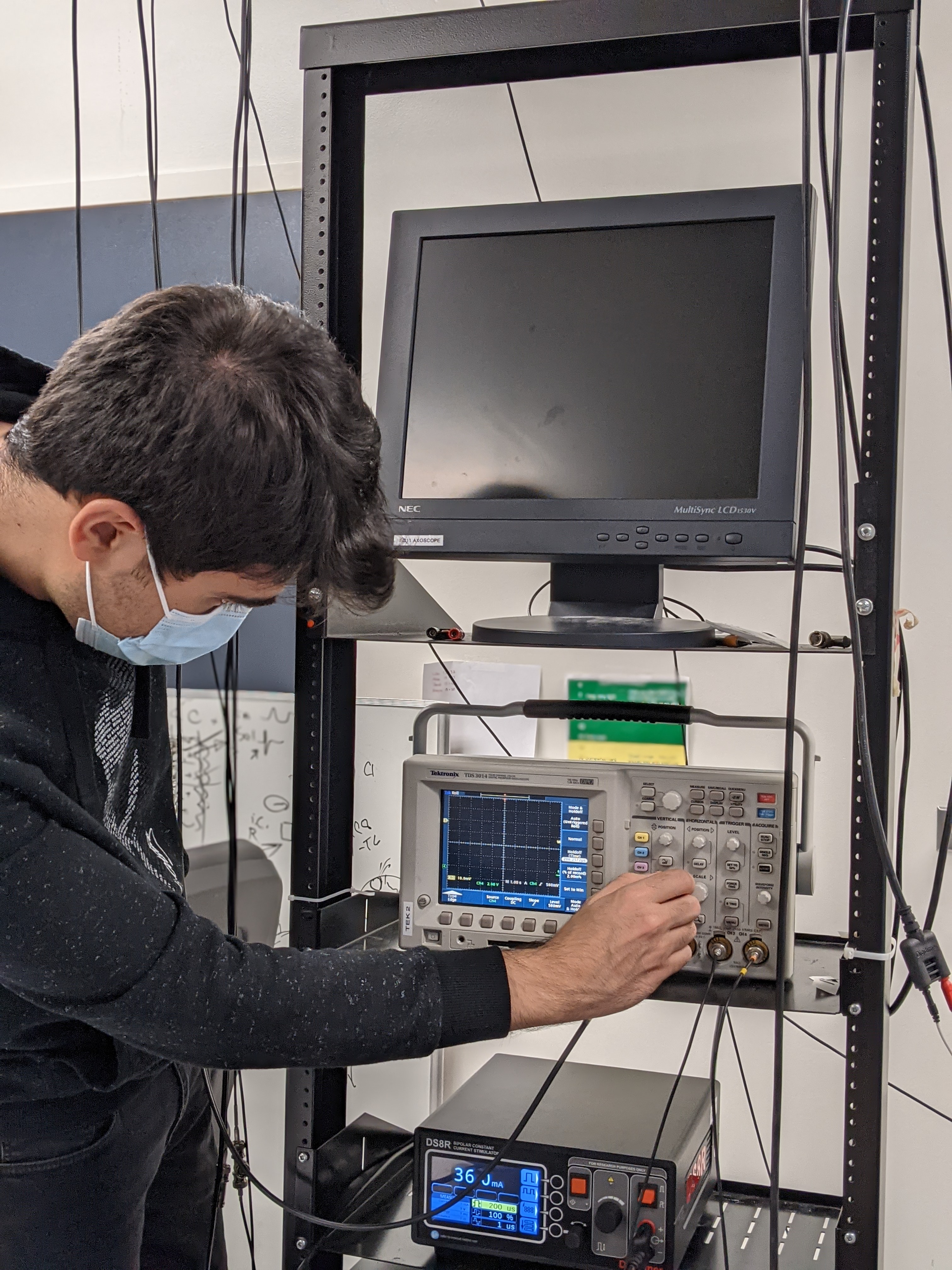 Experimental electrophysiology & stimulation parameters