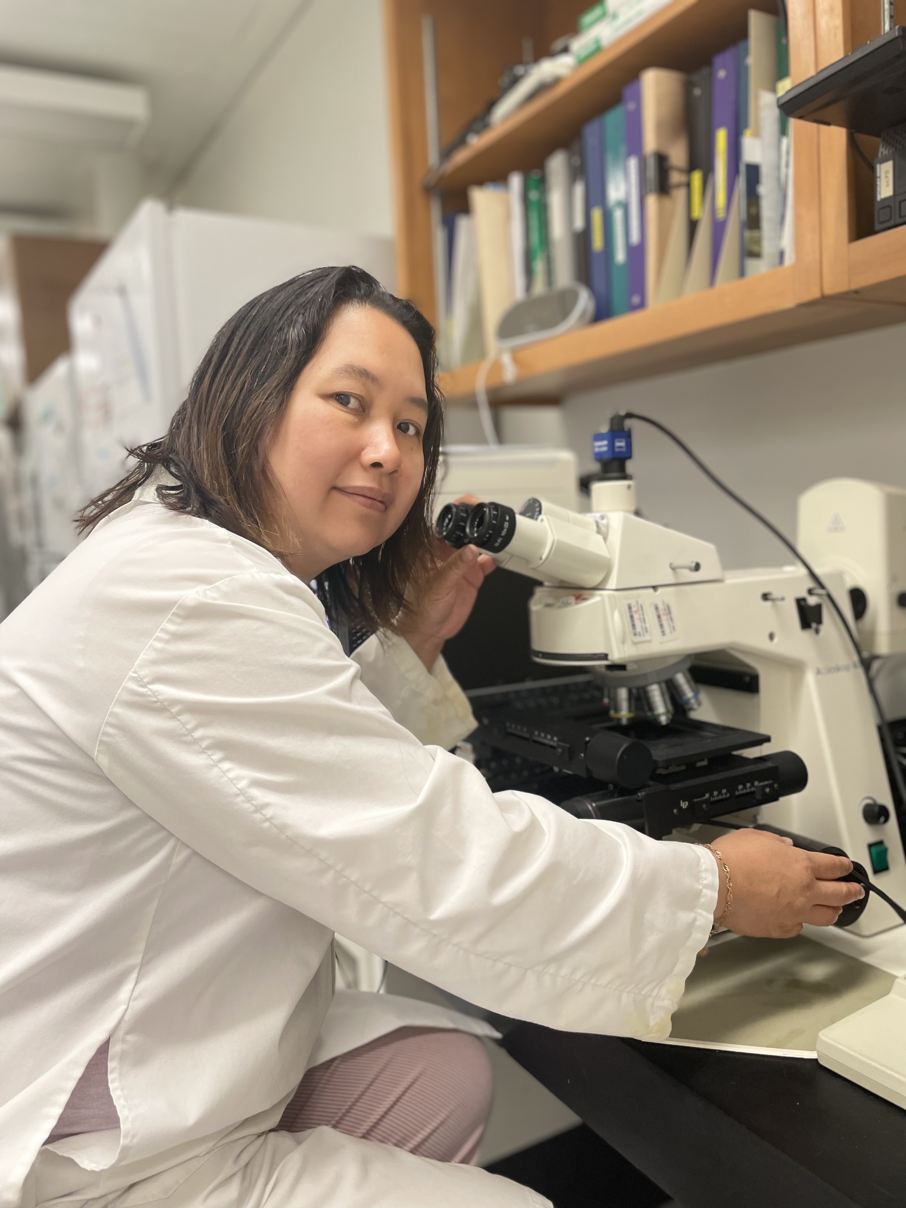 Cellular microscopy & synaptic integration
